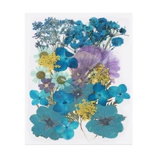 30 Pcs Dried Pressed Flower Leaves Bulk for Resin, Ocean Blue