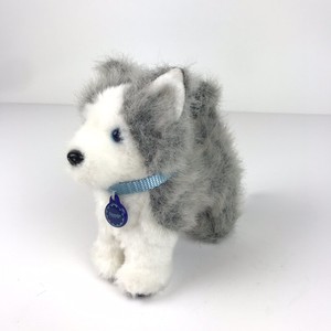american girl husky dog