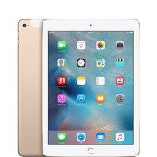 Apple iPad Air 2 2014 9.7" 32GB Gold WiFi  Cellular - Acceptable