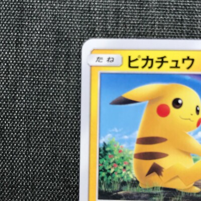 Pikachu Pokemon TCG Japanese card 029/072 C #025 (2017) JP970 | eBay