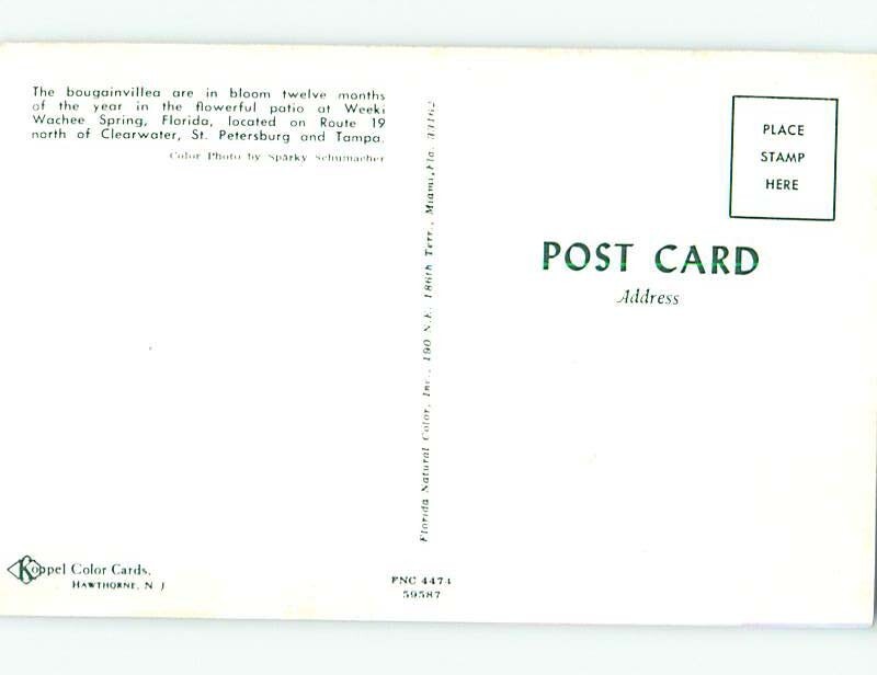Unused Pre1980 WEEKI WACHEE FLOWERS Near Tampa Florida FL 60.000 cards