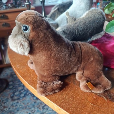 Steiff Wally Walross 1170/16 ca. 20 cm Kuscheltier Plüschtier gebraucht RAR