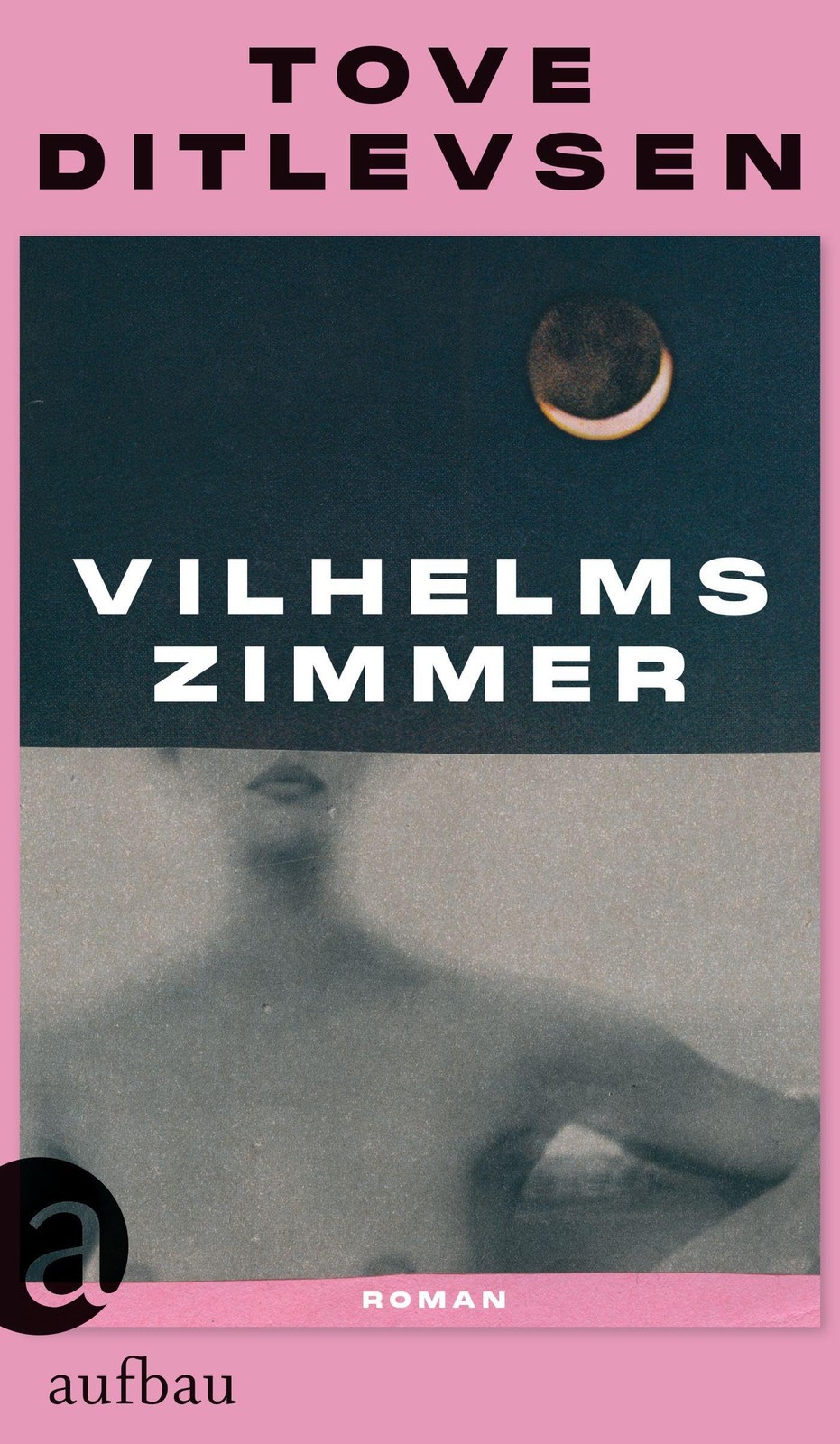 Ursel Allenstein Tove Ditlevsen Vilhelms Zimmer: Roman (Copertina rigida)