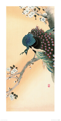 Ohara Koson - Pfau auf Kirschblütenbaum - Fine Art Print - 2 Größen 