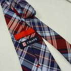 Picture 3 of 6