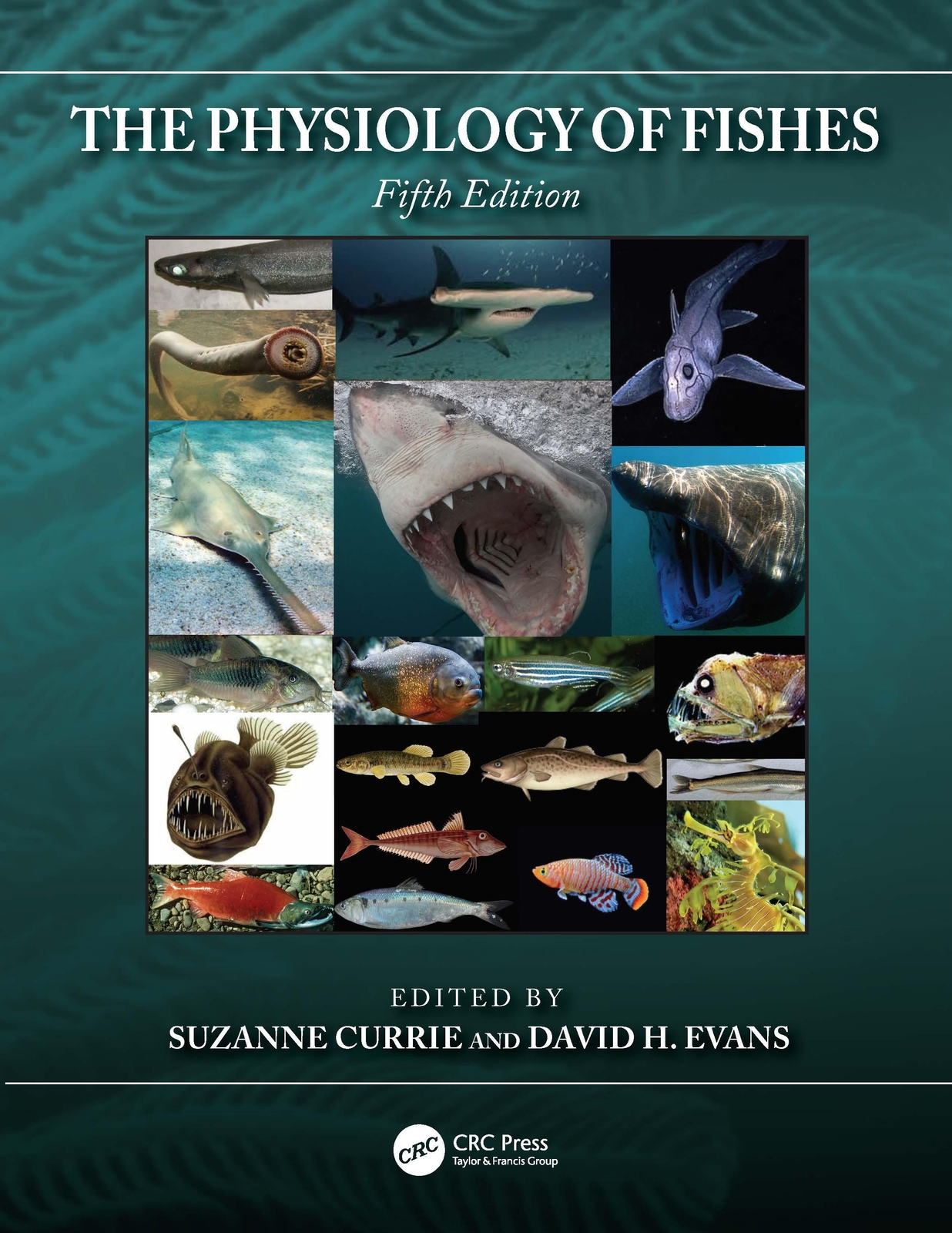 Thumbnail - The Physiology Of Fishes | David H. Evans (u. A.) | Englisch |