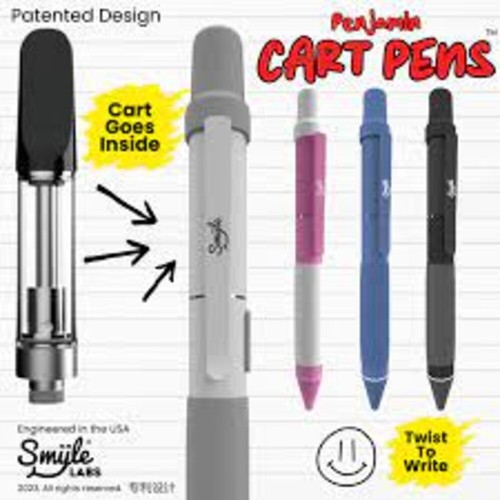 DualFunction School Work Lowkey Penjamin Cart Pen Black Blue Pink Grey eBay