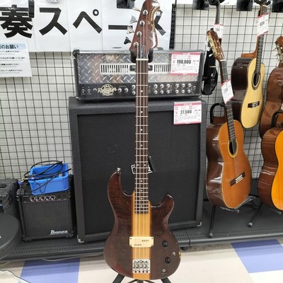 ARIA PROII TSB-500 electric bass