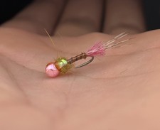 Pink BWO Nymph 5 Flies