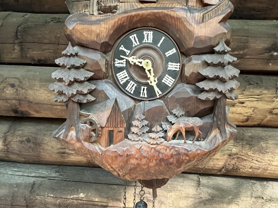 Antique German Black Forest Cuckoo Clock Early 1900s 19” X 13”W | eBay