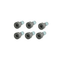 Blue Print Schwungradschraubensatz Ford Pkw ADBP780006