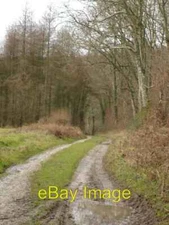 Photo 6x4 Track by Bull Pit Coppice Iwerne Minster  c2006