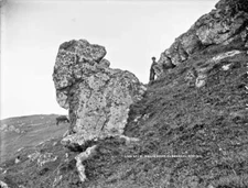 Lion Rock Malin Head Co Donegal Ireland c1900 OLD PHOTO