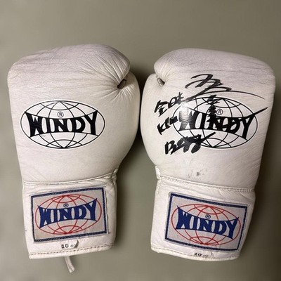 WINDY Boxing Gloves 10oz Lace-Up Design White Color Training Gear