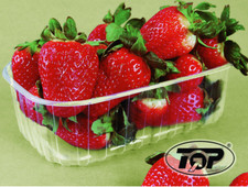 2240 Beerenschalen Beerenobst Verpackungsschalen Obstschalen 500g 0,5kg PET klar