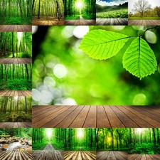 Nature Screen Background Wooden Floor Photogr...