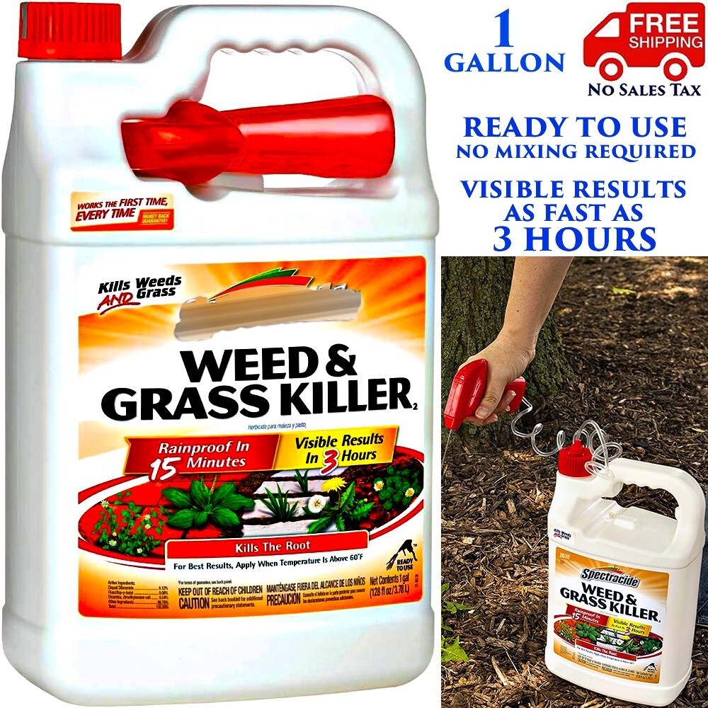 WEED GRASS KILLER FASTACTING RESULT 3 HOURS RAINPROOF DRIVEWAY PATIO 1 GALLON eBay
