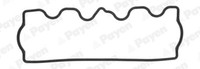Payen Dichtung Zylinderkopfhaube FüR Fiat Bravo I 182 1.9 TD 100 S Brava 185_
