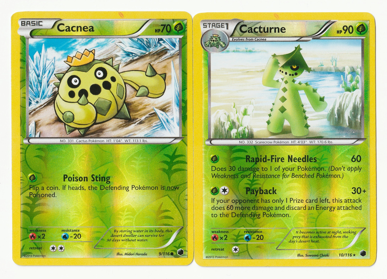 (ERROR CARD PRINT MARK) Cacnea + Cacturne 9 10/116 - Pokemon Plasma Freeze (LP)