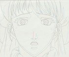 The Twelve Kingdoms Juuni Kokki Genga Douga Original Sketches Pierrot - Youko — photo 4