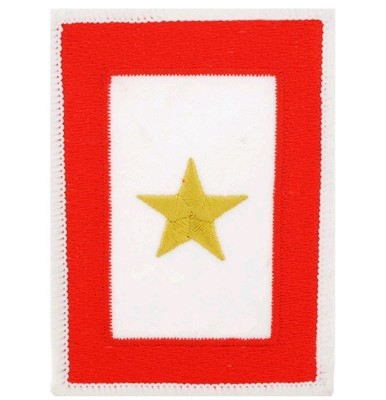 USA FAMILY MEMBER GOLD STAR Embroidered Patch 2-1/2''X3-1/2'' Iron-On Vet (3856)