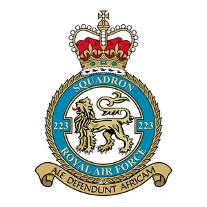 No. 223 Squadron RAF badge patch Self Adhesive Vinyl Sticker