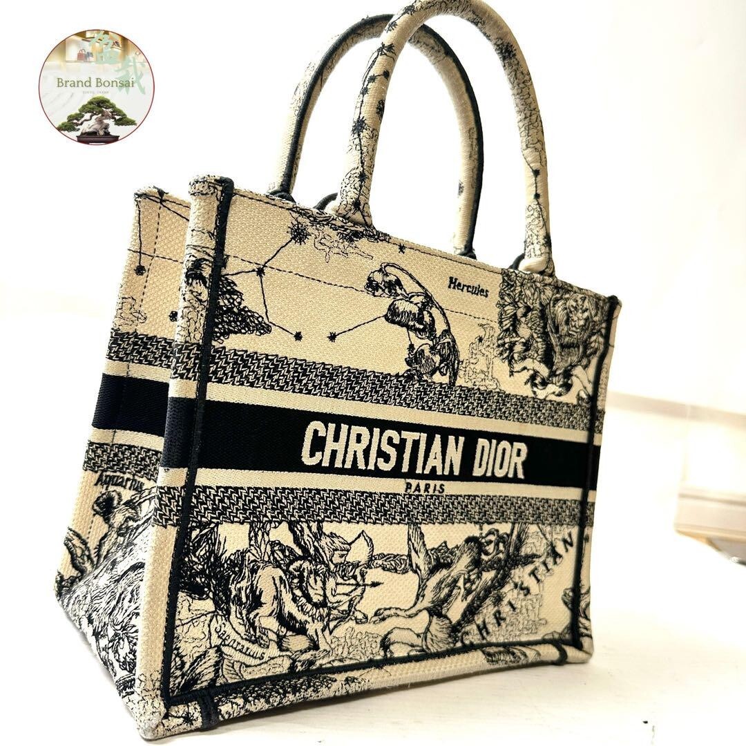 Dior Book Tote Canvas Hercules Handbag White Black | eBay