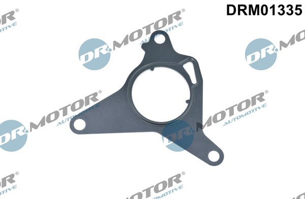 Dr.Motor Automotive DRM01335 Dichtung, Unterdruckpumpe For Alfa Romeo Dodge Fiat-image