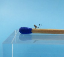 ( 1:120 ) Taube 5 Stück  Rückenlänge ca. 0,3 cm Spur TT ( TT-TT01 )