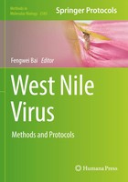 West Nile Virus | Methods And Protocols | Fengwei Bai | Taschenbuch | Xi | 2023