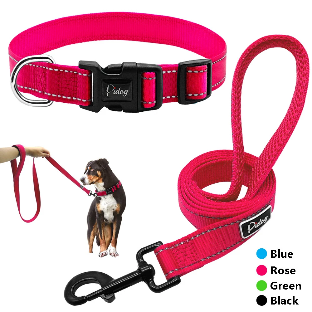Matching dog collar and leash set 2025