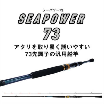 Daiwa Boat Rod Sea Power 73 80-300/ N (Baitcasting 2 Piece) | eBay
