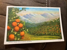 Foothill Orange Grove and Winter, California