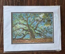 “Angel Oak” Live Oak Art Print by Jim Booth; Charleston South Carolina 11x14 NOS