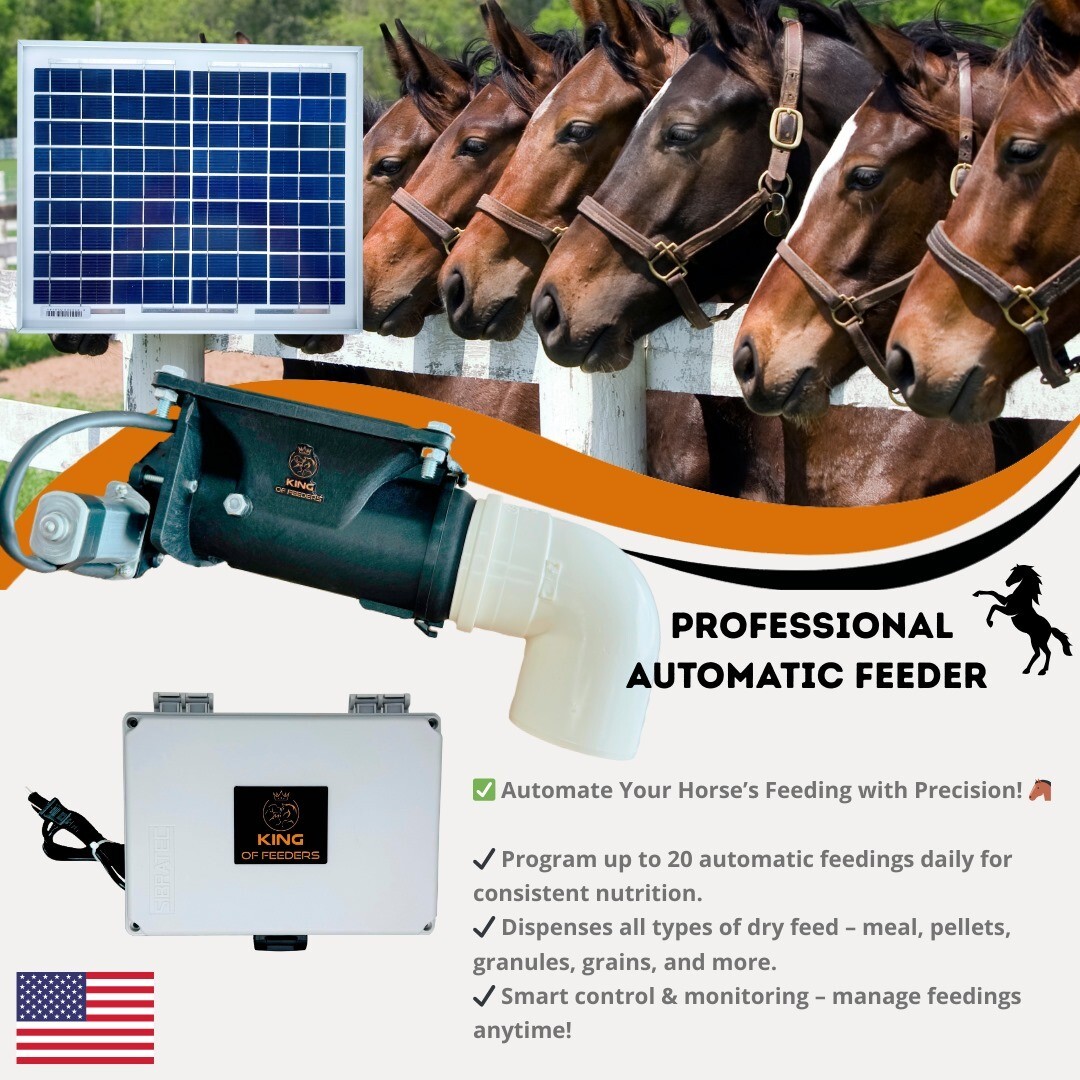 Solar Automatic Feeder, Food Dispenser for Horses