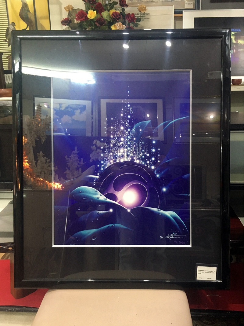 Excellent!!! 'In Bloom'. Tim Cantor 3/80 cibachrome, autograph | eBay