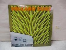 Volcano Suns Bumper Crop Record Album