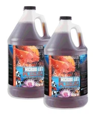 Microbe Lift PL 1 Gallon Koi Pond Beneficial Bacteria Clarifier 2 x 1 Gal. 10PLG