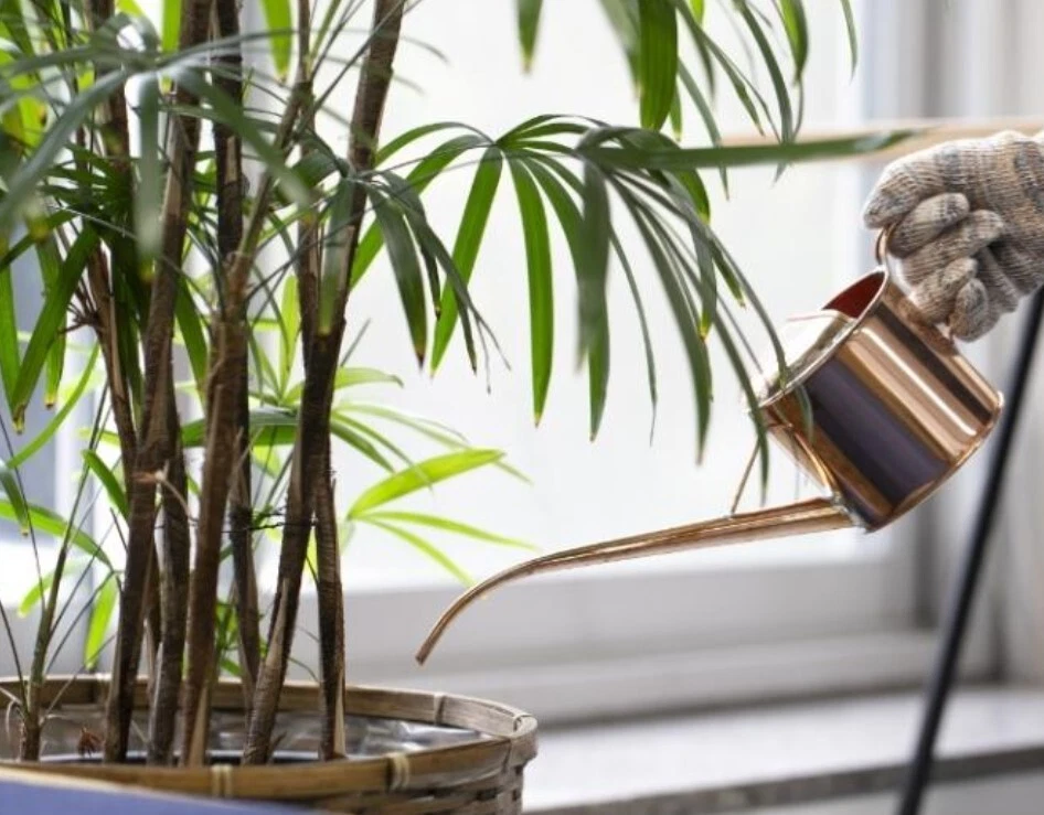【Nuevo】Bonsai Negishi Sangyo Lata de Riego de Cobre 0.5L Herramienta de Jardín Hecha a Mano Japón Foto 2 de 4