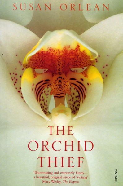 The Orchid Thief | Susan Orlean | Taschenbuch | Kartoniert / Broschiert | 2000-image