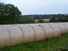 Photo A3 Hay bales at Ensfield Leigh/TQ5546 These bales of hay are seen c2012