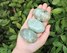 Garnierite Palm Stone / Green Moonstone Pebbles (Hand Polished)