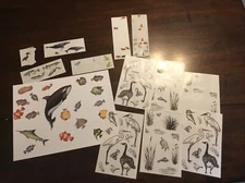 Mrs. Grossman's Brush MARSH Life Nature Scrapbook Stickers And More