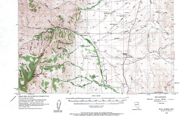 Wild Horse Quadrangle, Nevada 1956 Topo Map USGS 15 Minute Topographic