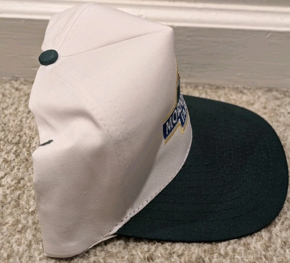 Vintage 80s 90s Morningstar Farms Snapback Hat Cap RARE vegan vegetarian punk - Image 2 of 4