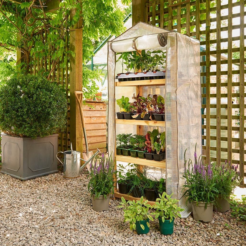 Grow It Premium 4 Tier Wooden Growhouse Mini Greenhouse H160 x W69 x D49cm
