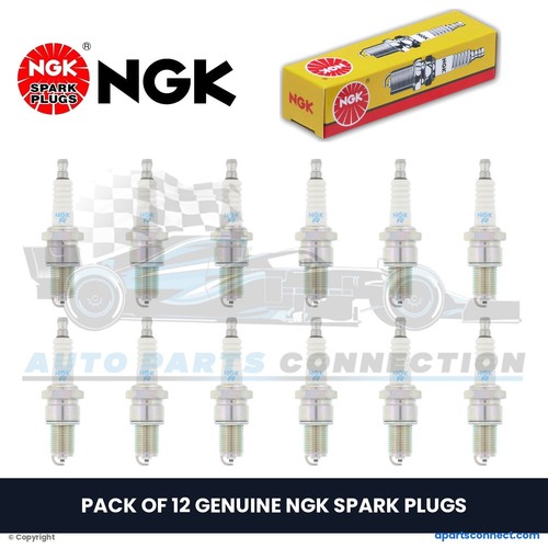 Ferrari 365 GTB/4 1968-1976 Spark plugs Set of 12 Photo - $54