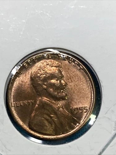 1955 No Mint Mark Wheat Penny  " L " On  Rim  ( Nice Coin ) XF Rd