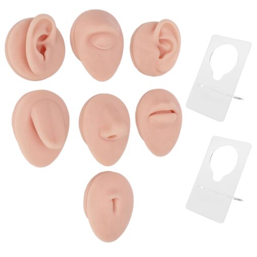 Piercing in silicone modello corpo con espositore acrilico parti corpo strumenti pratica - Foto 3 di 24