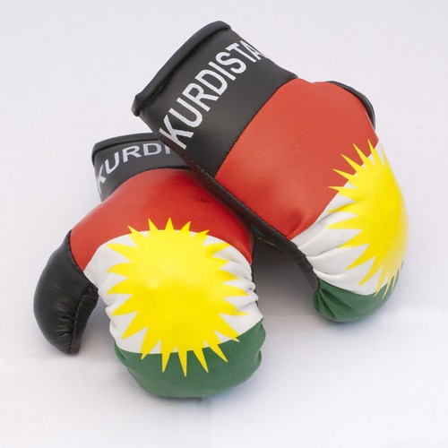 High Quality Country Flag MINI BOXING GLOVES - Rear View Mirror Gloves - New - Picture 84 of 134